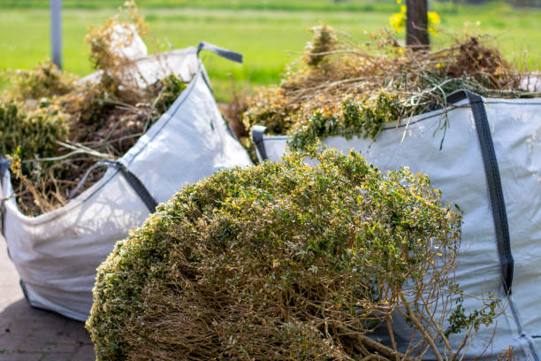Best Residential Junk Removal  in Browntown, PA